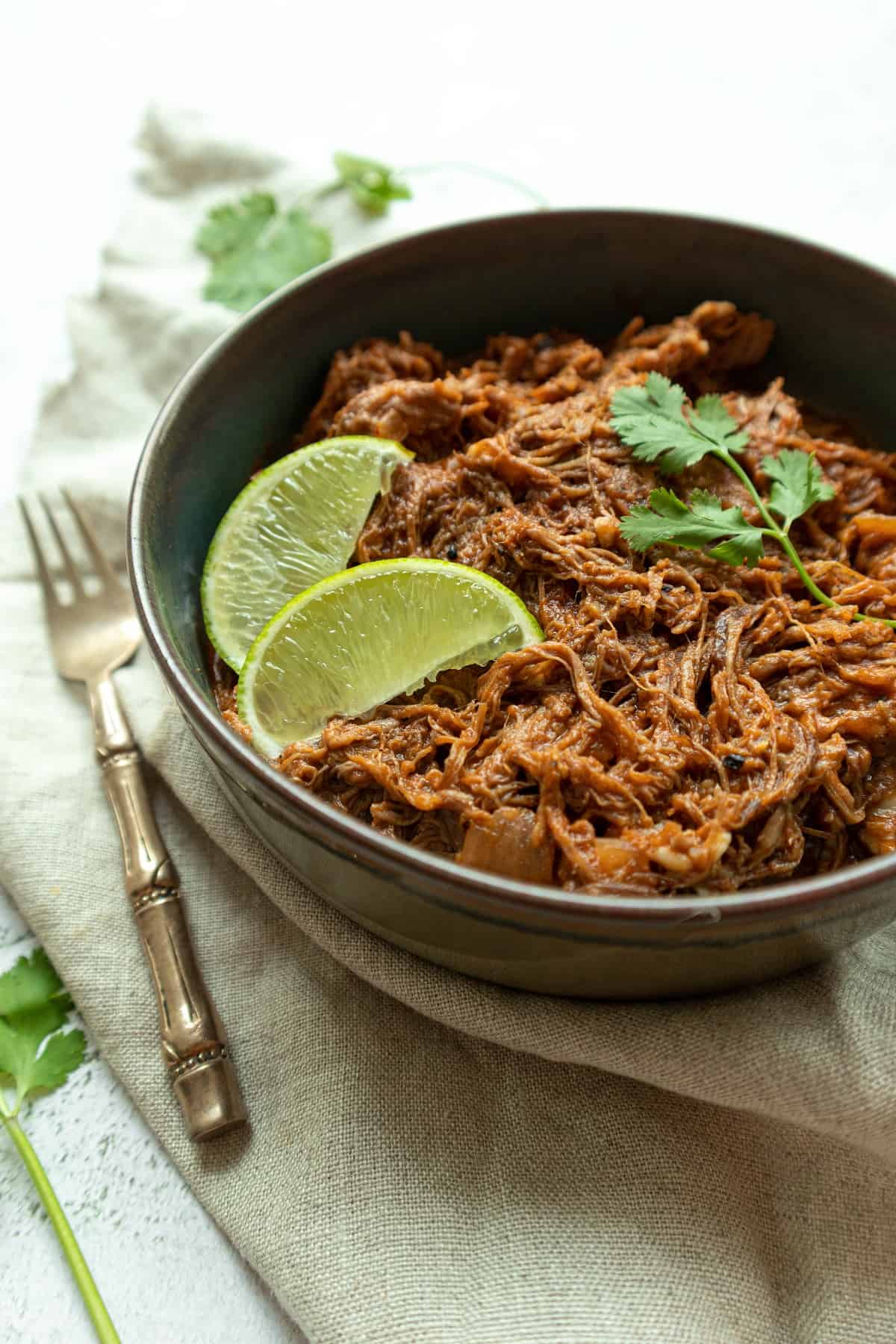 Pulled BBQ beef brisket in a bowl