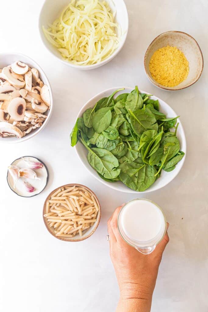Creamy vegan mushroom pasta ingredients