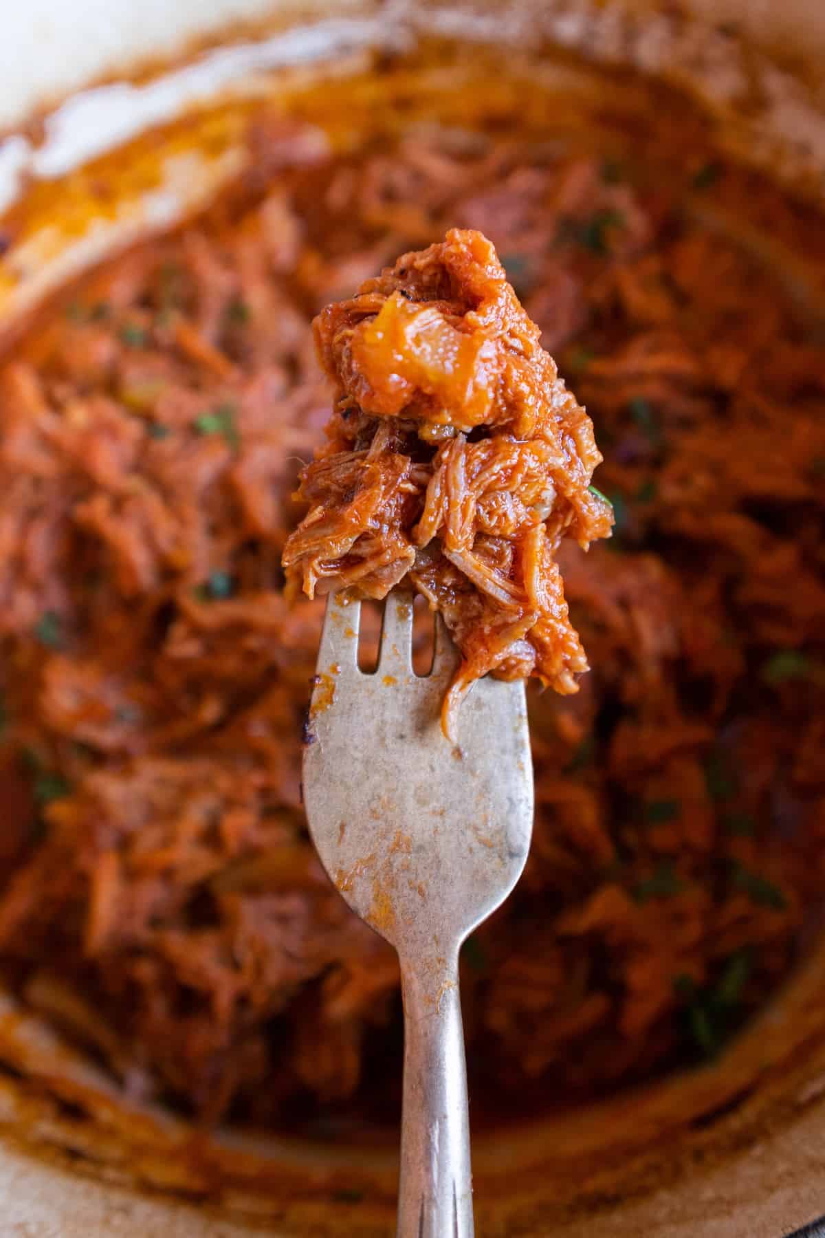 https://bitesinthewild.com/wp-content/uploads/2023/04/Fork-full-of-dutch-oven-bbq-pulled-pork.jpg