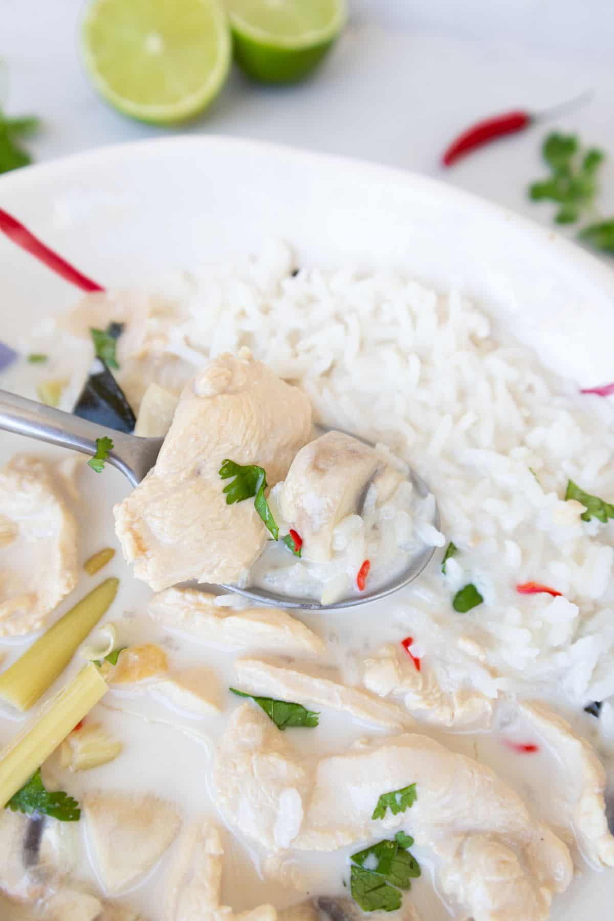 Close up of Thai coconut lime chicken served with plain rice and fresh cilantro